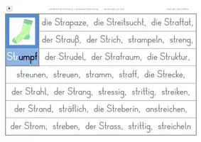 Vorschau - Arbeitsblätter - Konzentriertes Wortschatz- und Rechtschreibtraining - Wörter mit STR am Wortanfang - Seite 2