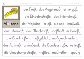 Vorschau - Arbeitsblätter - Konzentriertes Wortschatz- und Rechtschreibtraining - Wörtermit a und ß - Seite 2