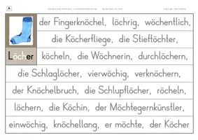 Vorschau - Arbeitsblätter - Konzentriertes Wortschatz- und Rechtschreibtraining - Wörter mit ö und ch - Seite 2
