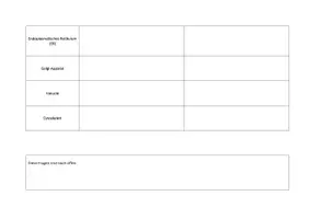 Vorschau - Arbeitsblätter - Zellbestandteile - Gruppenpuzzle - Seite 3
