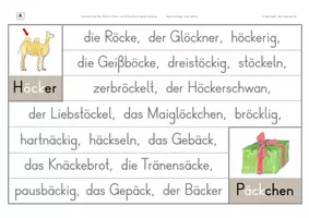 Vorschau - Arbeitsblätter - Konzentriertes Wortschatz- und Rechtschreibtraining - Wörter mit den Umlauten ä und ö in Verbindung mit ck - Seite 2