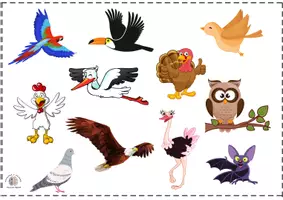 Vista previa - Unidades / Secuencias / Situaciones de Aprendizaje - Tablero de animales - página 3