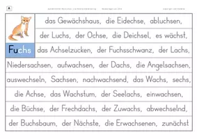 Vorschau - Arbeitsblätter - Konzentriertes Wortschatz- und Rechtschreibtraining - Wörter mit CHS - Seite 2