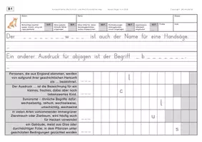 Vorschau - Arbeitsblätter - Konzentriertes Wortschatz- und Rechtschreibtraining - Wörter mit CHS - Seite 3