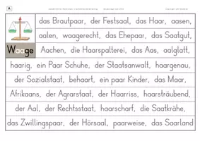 Vorschau - Arbeitsblätter - Konzentriertes Wortschatz- und Rechtschreibtraining - Wörter mit Doppel-a - Seite 2