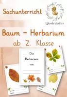 Vorschau - Stundenentwürfe - Komplettpaket SACHUNTERRICHT - Wunderwelten_XXL - Seite 1