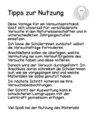 Vorschau - Arbeitsblätter - Vorlage Versuchsprotokoll - Seite 1