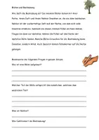 Vorschau - Stundenentwürfe - Alles rund um Blüten Grafiken Aufgaben Lösungen - Seite 3