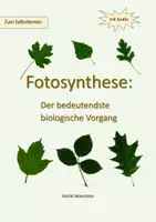 Vorschau - Präsentationen/Tafelbilder - Fotosynthese Sek I zum Selbstlernen - Deckblatt