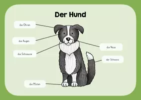 Vorschau - Poster - Der Hund - Lernplakat - Deckblatt