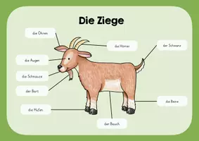 Vorschau - Poster - Die Ziege - Lernplakat - Deckblatt