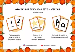 Vista previa - Tarjetas / Manipulativos - FLASHCARDS - NÚMEROS, LETRAS y FORMAS. TEMÁTICA DE OTOÑO. - página 1