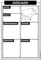 Vorschau - Arbeitsblätter - Das Wildschwein - Materialpaket - Seite 2