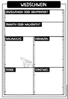 Vorschau - Arbeitsblätter - Das Wildschwein - Materialpaket - Seite 3