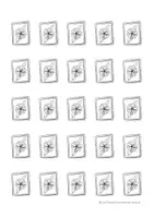 Vorschau - Arbeitsblätter - Talk about yourself - Write a letter - Seite 3