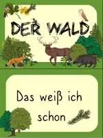 Vorschau - Präsentationen/Tafelbilder - Wald Reihentransparenz - Seite 2