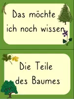 Vorschau - Präsentationen/Tafelbilder - Wald Reihentransparenz - Seite 3