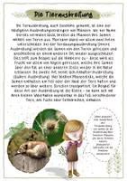 Vorschau - Arbeitsblätter - Gruppenpuzzle zur Samenausbreitung - Seite 2
