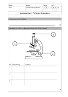 Vorschau - Spiele - Zelle und Mikroskop: Klassenarbeit und Spiel zur Vorbereitung - Seite 3