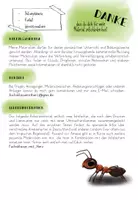 Vorschau - Bildkarten - Ameisenarten - Infofächer - Seite 1