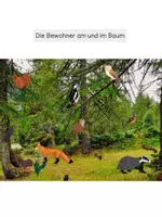 Vorschau - Stundenentwürfe - Bewohner am und um den Baum - Seite 1