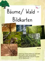 Vorschau - Bildkarten - Thema Bäume oder Wald - Bildkarten zum Einstieg - Deckblatt
