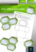 Vorschau - Mal- und Bastelvorlagen - Bastelvorlage - Die Pflanzenzelle - Deckblatt
