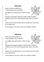 Vorschau - Unterrichtsreihen - Sparpaket Wald - Seite 2