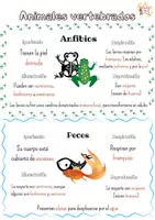 Vista previa - Hojas de trabajo - LOS ANIMALES VERTEBRADOS - página 3