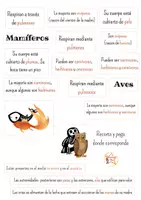 Vista previa - Juegos / Gamificación - Recorta y pega - Animales vertebrados color - página 3