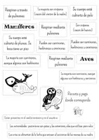 Vista previa - Hojas de trabajo - Recorta y pega - Animales vertebrados BN - página 3
