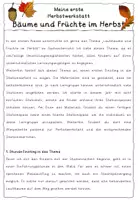 Vorschau - Unterrichtsreihen - Laubbäume & Früchte Unterrichtsvorschlag Vorschule/Klasse 1 - Seite 1