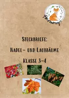 Vorschau - Arbeitsblätter - Steckbriefe zu Nadel- und Laubbäume (Infotext) - Deckblatt