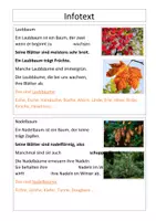 Vorschau - Arbeitsblätter - Steckbriefe zu Nadel- und Laubbäume (Infotext) - Seite 2