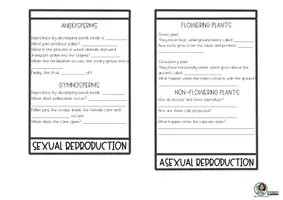 Vista previa - Unidades / Secuencias / Situaciones de Aprendizaje - FLIPBOOK PLANTS (versión inglés) - página 3