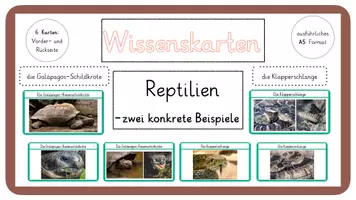 Vorschau - Stationenlernen - Wissenskarten Reptilien- Klapperschlange und Galápagos- Schildkröte - Deckblatt