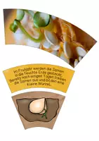 Vorschau - Unterrichtsreihen - Legekreis Entwicklungszyklus Kürbis - Seite 3
