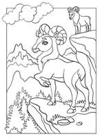 Vorschau - Arbeitsblätter - Waldtiere Malvorlagen / Ausmalbilder zum Thema Wald - Seite 1