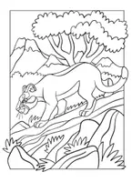 Vorschau - Arbeitsblätter - Waldtiere Malvorlagen / Ausmalbilder zum Thema Wald - Seite 3