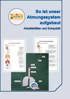 Vorschau - Arbeitsblätter - So ist unser Atmungssystem aufgebaut - Deckblatt