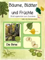 Vorschau - Präsentationen/Tafelbilder - Bäume, Blätter und ihre Früchte - Bild-/Legekarten zum Zuordnen - Deckblatt