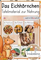 Vorschau - Präsentationen/Tafelbilder - Tafelmaterial: Nahrung des Eichhörnchens - Deckblatt