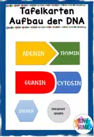 Vorschau - Bildkarten - Tafelkarten Aufbau der DNA - Deckblatt