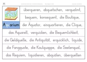 Vorschau - Arbeitsblätter - Konzentriertes Wortschatz- und Rechtschreibtraining - Wörter mit qu in der Wortmitte - Seite 2