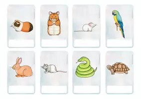 Vorschau - Fördermaterial/Inklusion - Silbenkarten Tiere Übung Deutsch - Seite 3