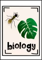 Vorschau - Bildkarten - School Subjects - Word Cards and Vocabulary Sheets (Vokabeleinführung Schulfächer Englisch) - Seite 3