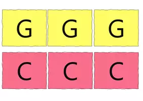 Vorschau - Bildkarten - Kärtchen: Modell der DNA - Seite 2
