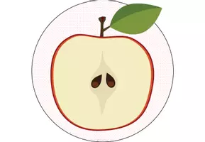 Vorschau - Bildkarten - Tafelmaterial - Bild- und Wortkarten Apfel (Bestandteile + Entstehung) - Seite 3