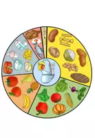 Vorschau - Spiele - Gesunde Ernährung - Ernährungskreis als Puzzle und Tafelmaterial - Seite 3
