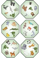 Vorschau - Spiele - Spot the twins - Wild animals (Spiel) - Seite 3
